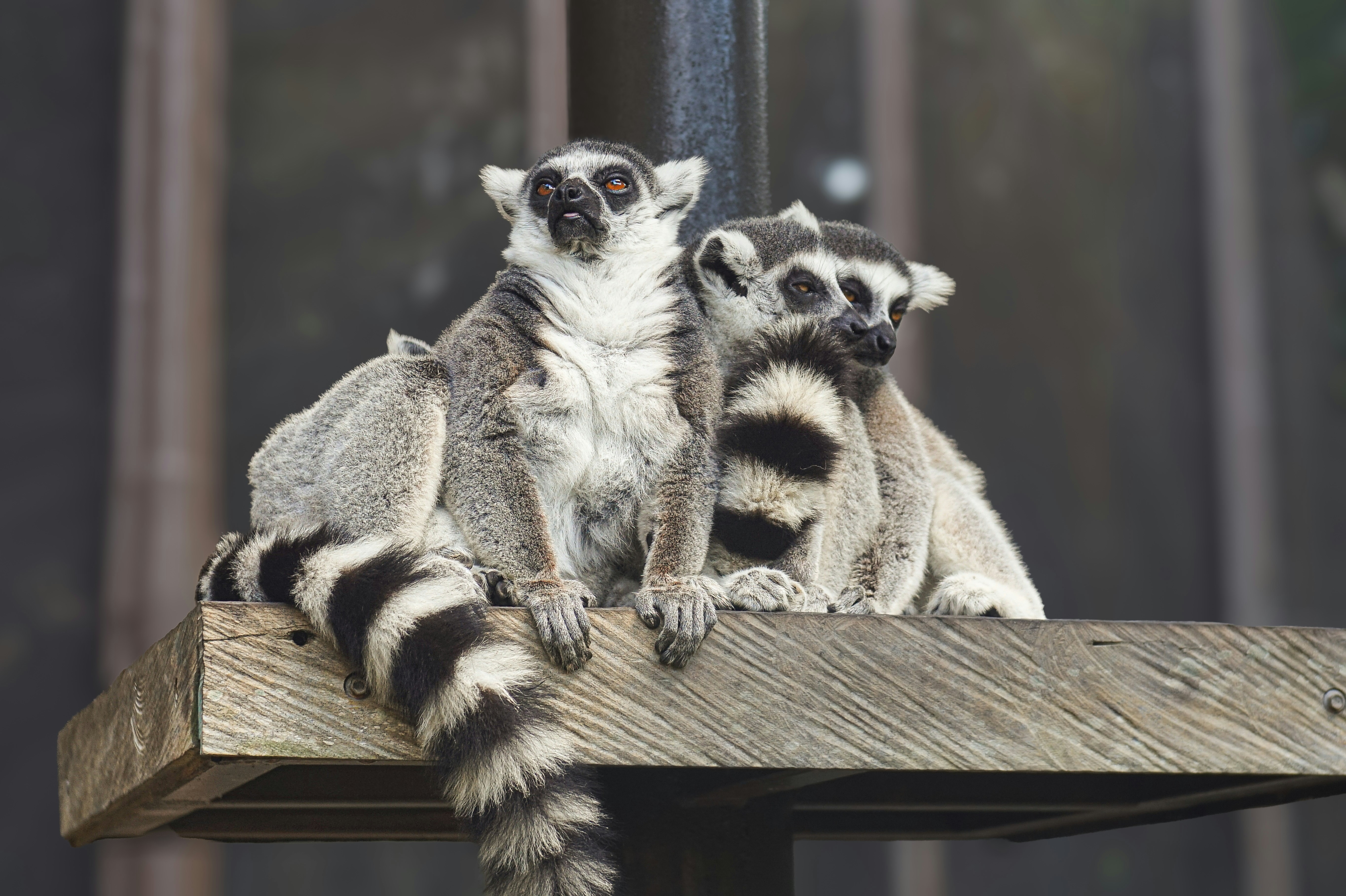 Photo couverture site N°01