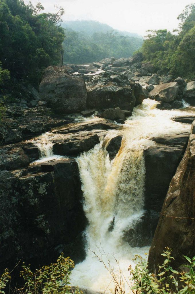 Ranomafana National Park